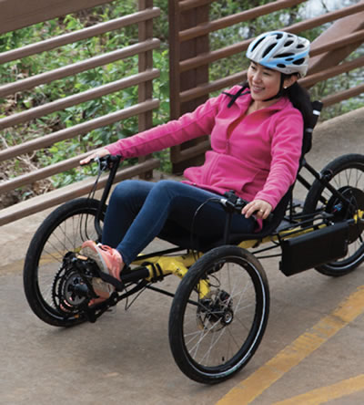 electric assist recumbent bike