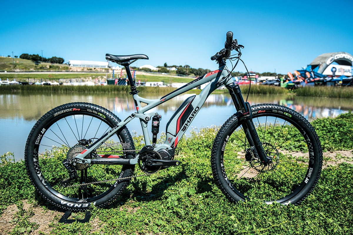 THE SEA OTTER CLASSIC Electric Bike Action