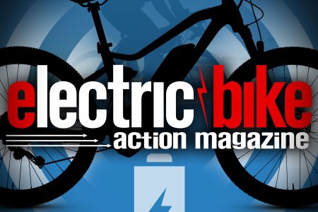 lectric cycles out of business